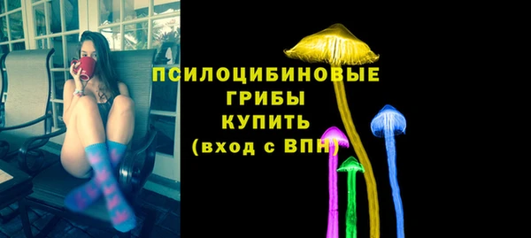 стаф Медвежьегорск