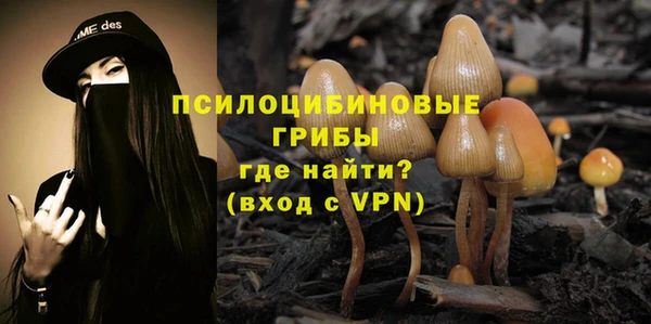 mdpv Медногорск