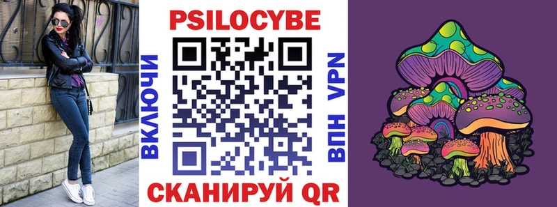 Псилоцибиновые грибы Psilocybine cubensis  Тюмень 