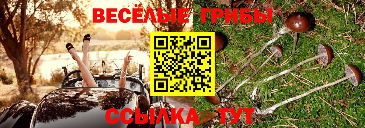 Галлюциногенные грибы мухоморы Тюмень