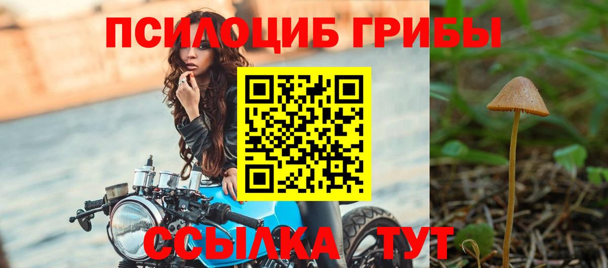 Псилоцибиновые грибы Psilocybine cubensis Тюмень
